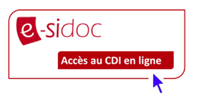 logo esidoc2